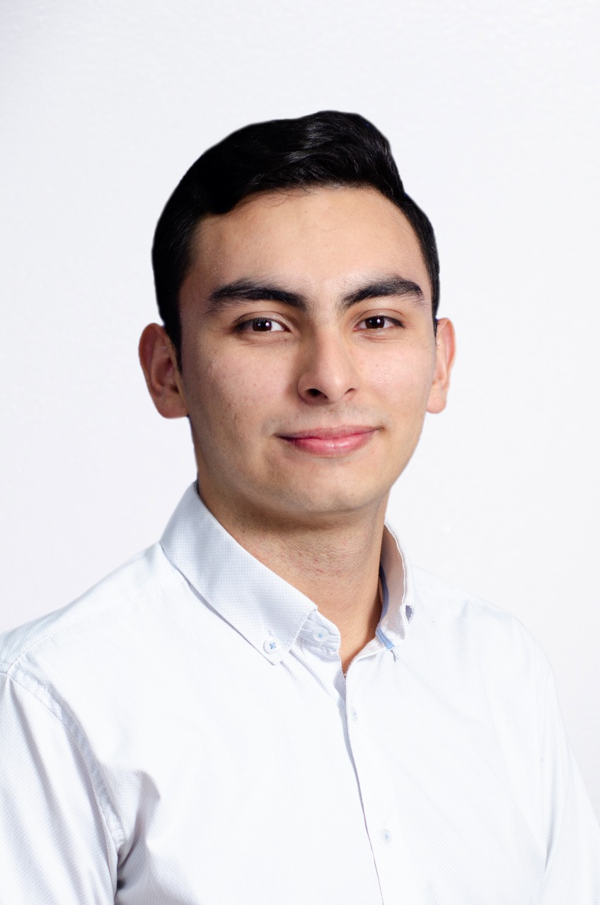 Profesional Inmobiliario